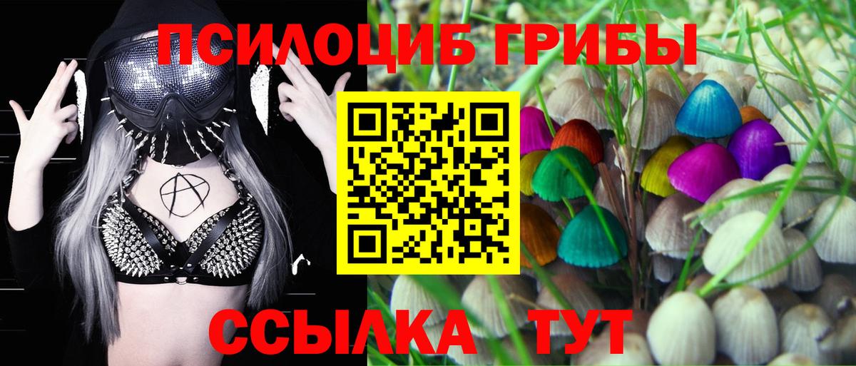 Галлюциногенные грибы мицелий Карпинск