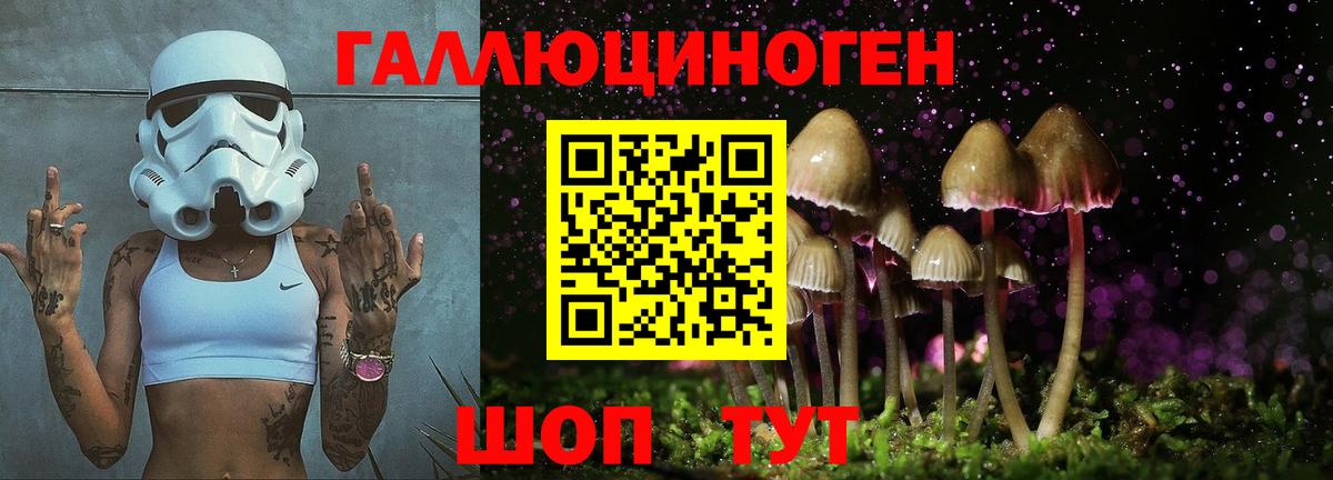 Карпинск  Псилоцибиновые грибы MAGIC MUSHROOMS  Вход с VPN 